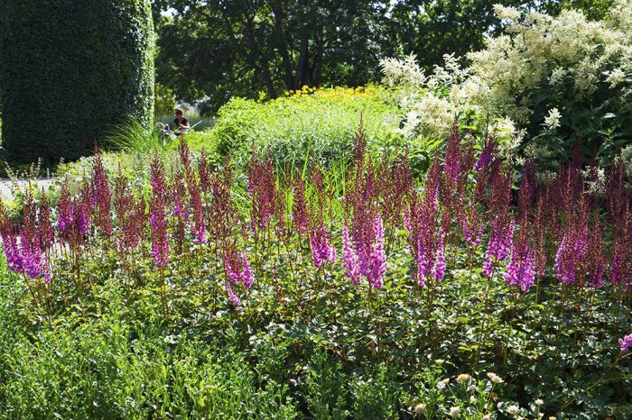 semestertips-nara-stockholm-7