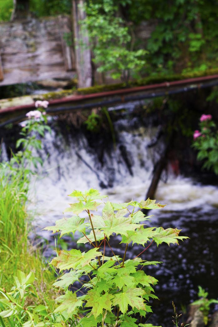 stromma-farmlodge-sommarcafe-butik-11