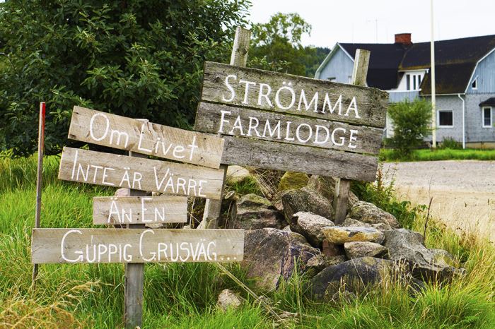 stromma-farmlodge-sommarcafe-butik-3