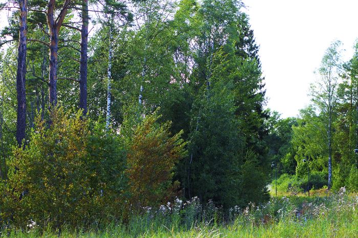 vardagsmotion-2