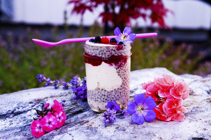 chia-trifle-1