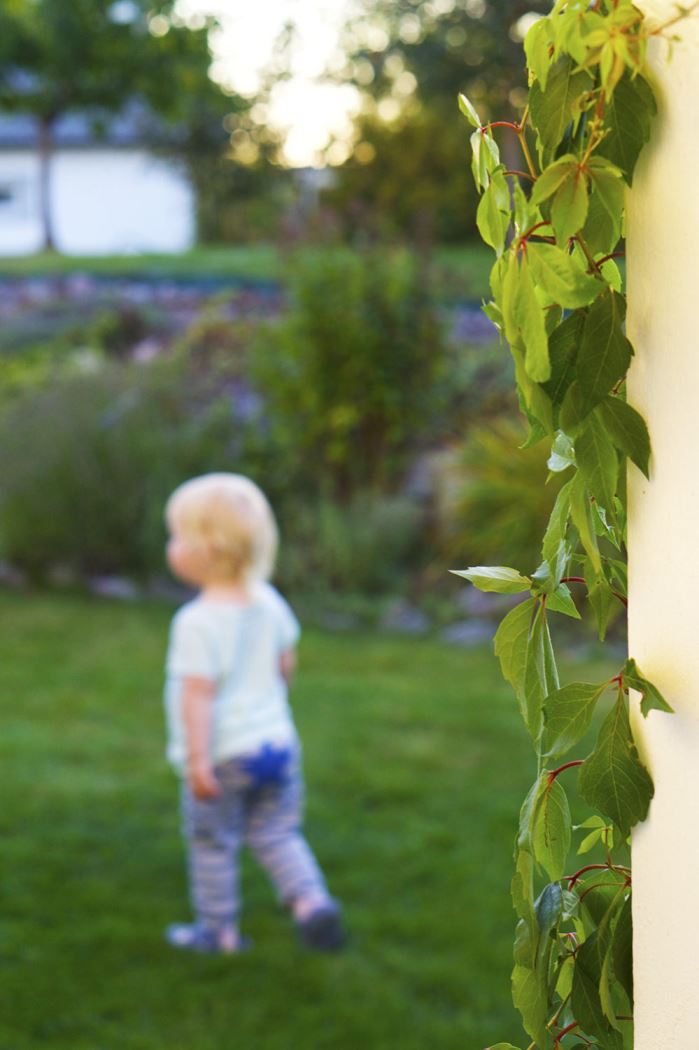 ljuvliga-sommarkvallar-5