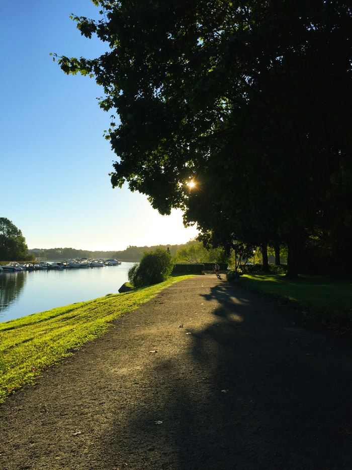 magisk-morgon-5