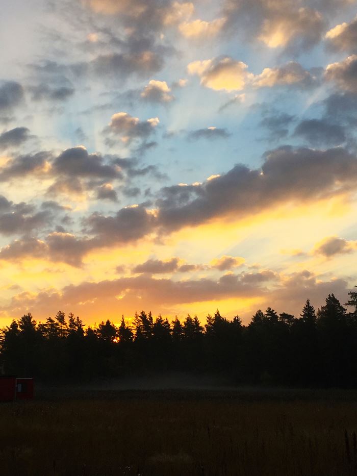 morgonlopning-dimma-11