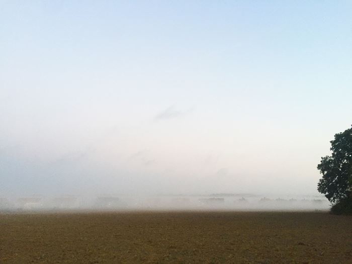 morgonlopning-dimma-2