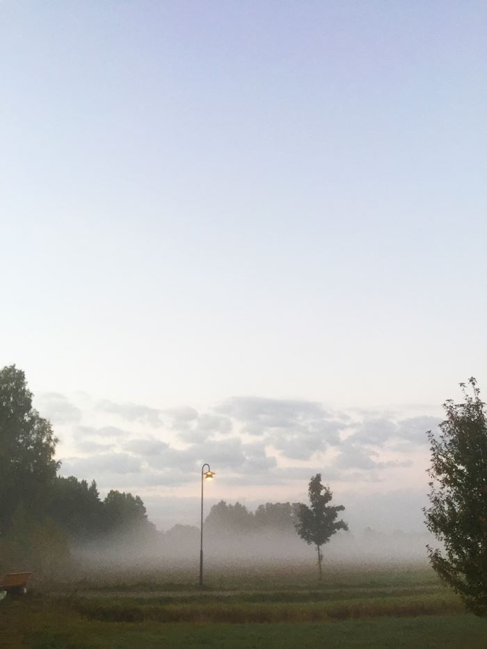 morgonlopning-dimma-5