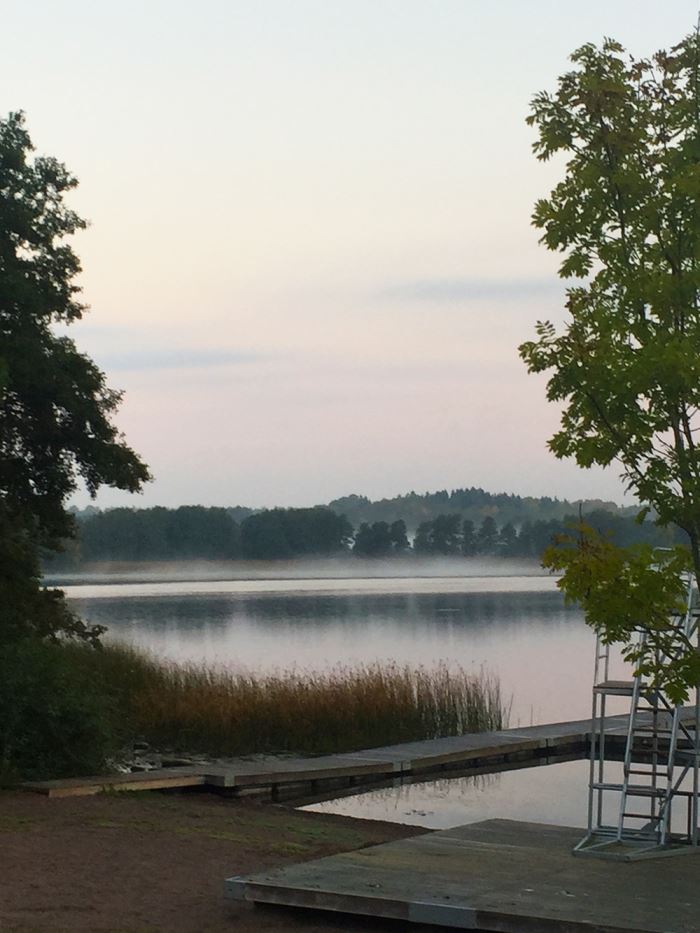 morgonlopning-dimma-6