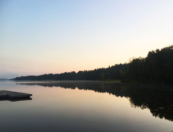 morgonlopning-dimma-8