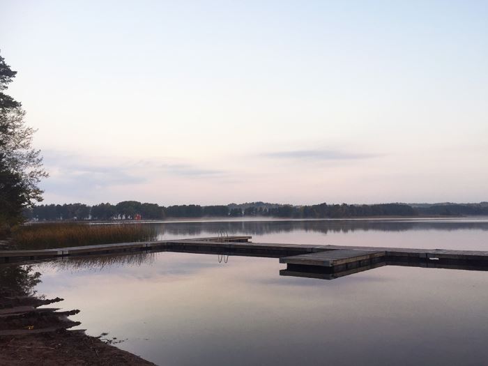 morgonlopning-dimma-9