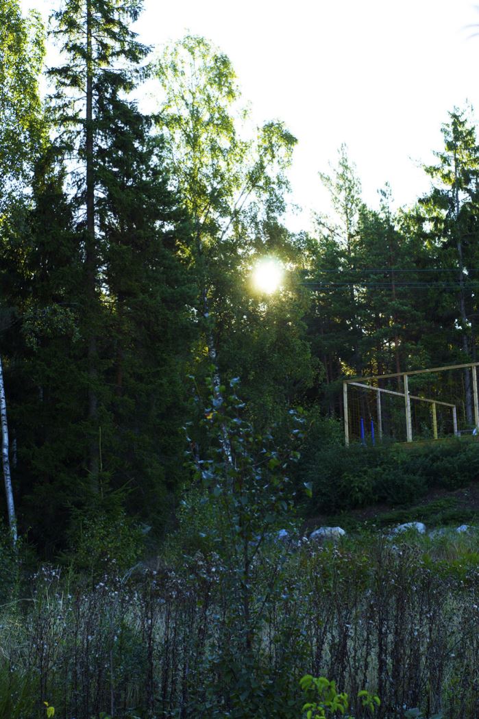 morgontraning-2