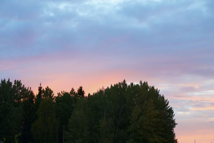 rosa-himmel-veckans-basta-4