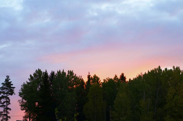 rosa-himmel-veckans-basta-5