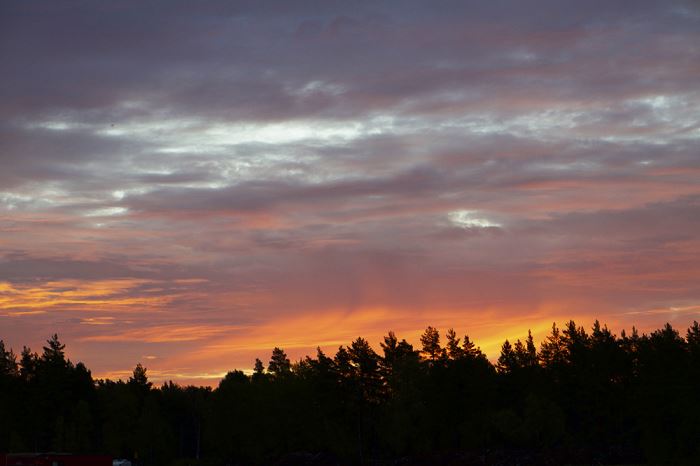 rosa-himmel-veckans-basta-6
