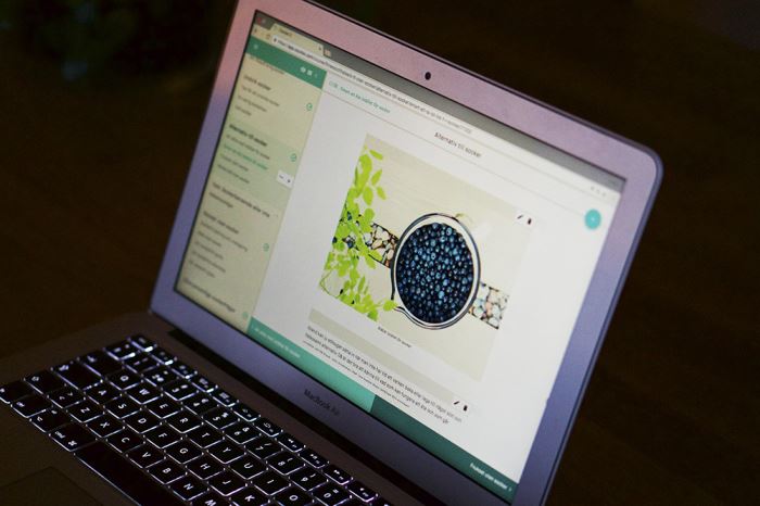 sott-utan-socker-rabatt-3