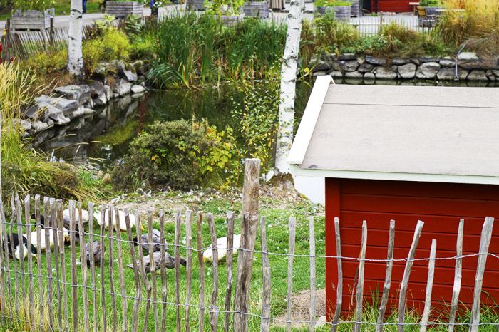 wenngarn-dammstugan-2