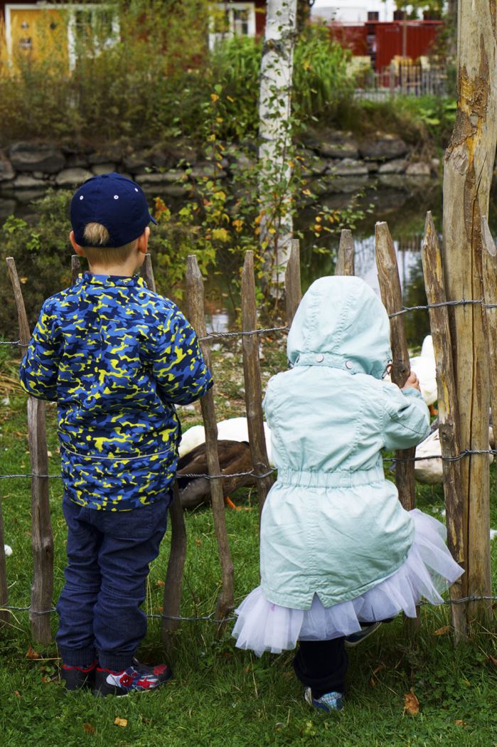 wenngarn-dammstugan-3