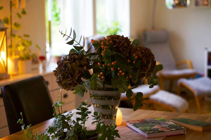 aller-media-blommor-1