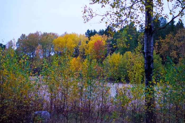 host-morgonpromenad-3