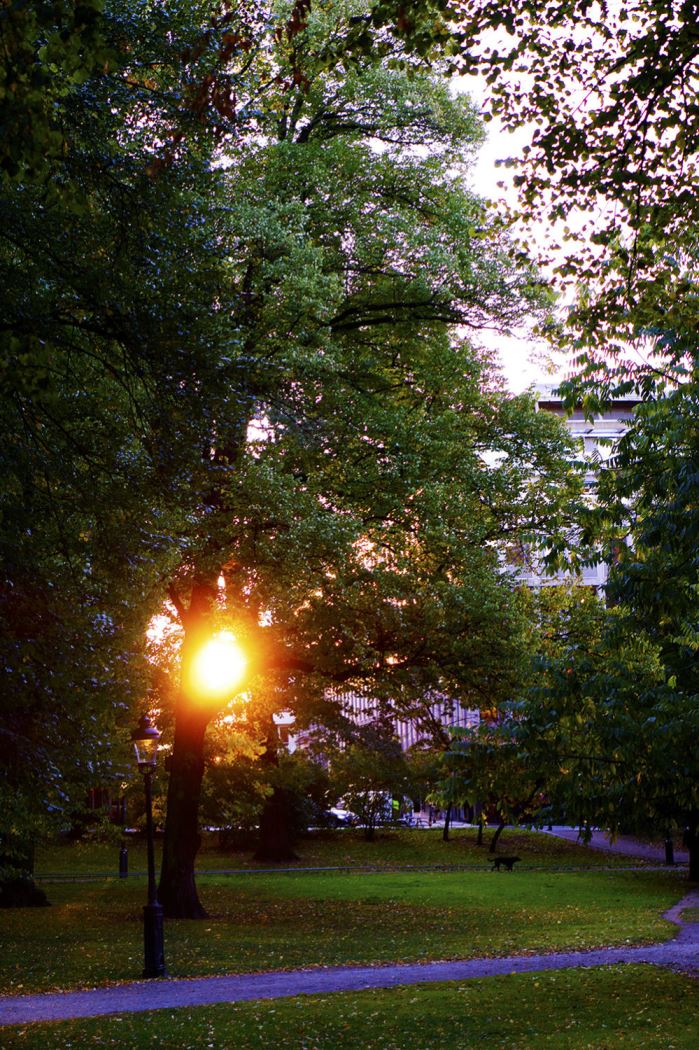 hostmorgon-promenad-6