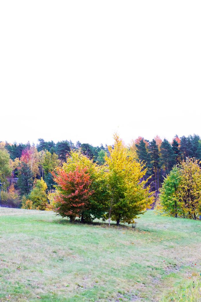 hostpromenad-3