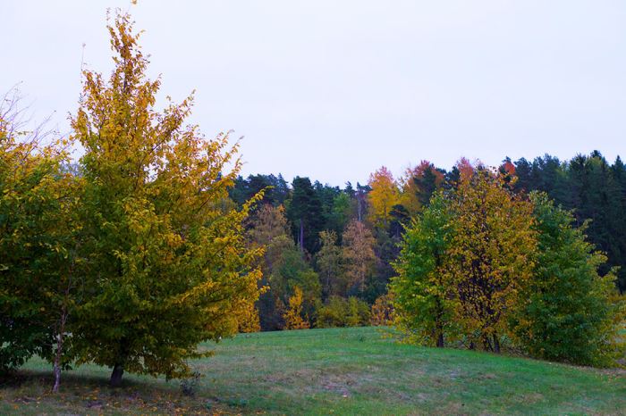 hostpromenad-4