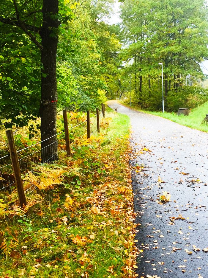 springa-till-jobbet-ryggsack-5