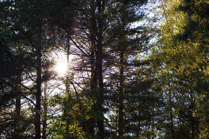 traningsmotivation-karin-4