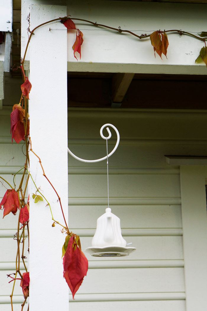 hostvinter-2