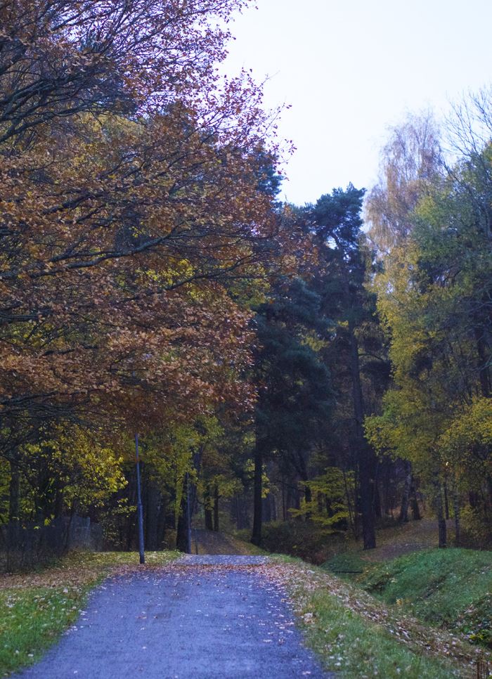 tystnad-promenad-3