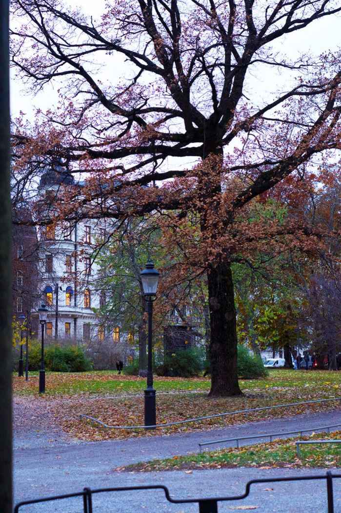 veckans-basta-humlegarden-2