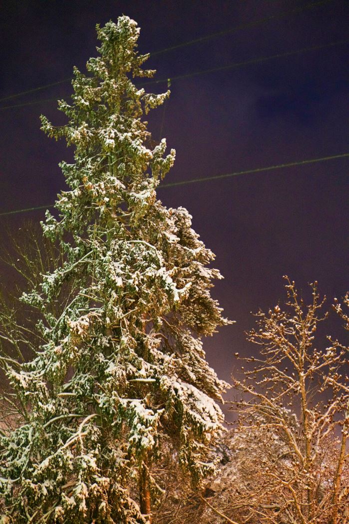 veckans-basta-stockholm-sno-4