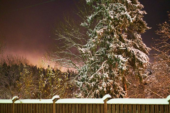 veckans-basta-stockholm-sno-5