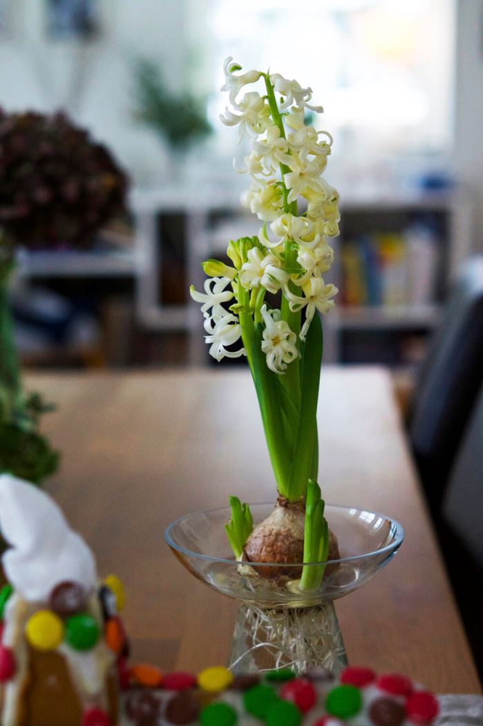 julhelg-pepparkakshus-4