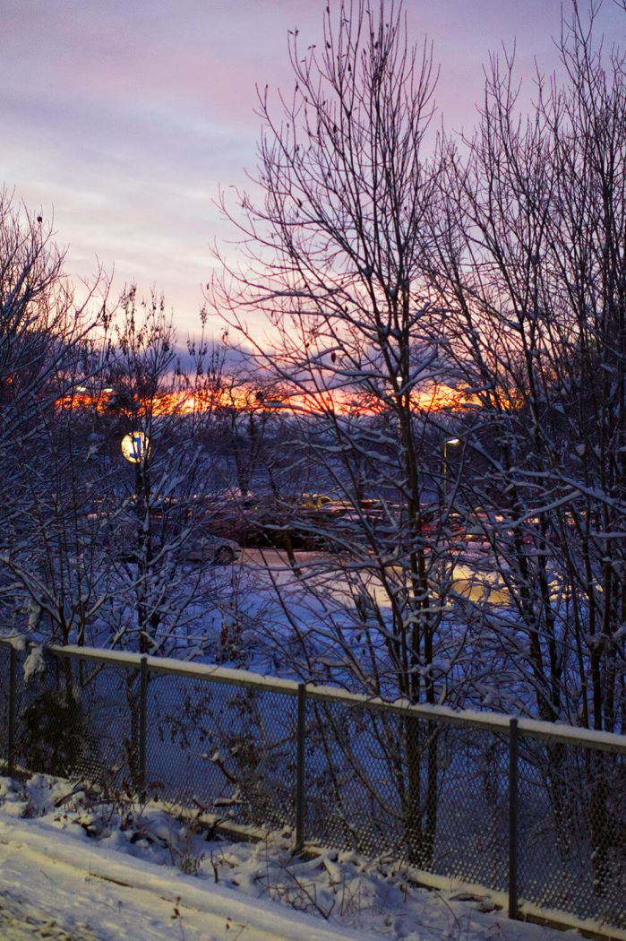 lucia-morgon-2