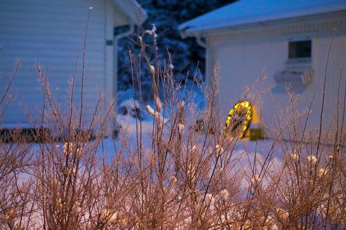 Magisk vintermorgon Trettondagsafton
