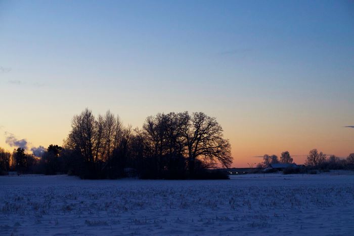 Magisk vintermorgon Trettondagsafton