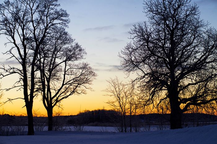 Magisk vintermorgon Trettondagsafton