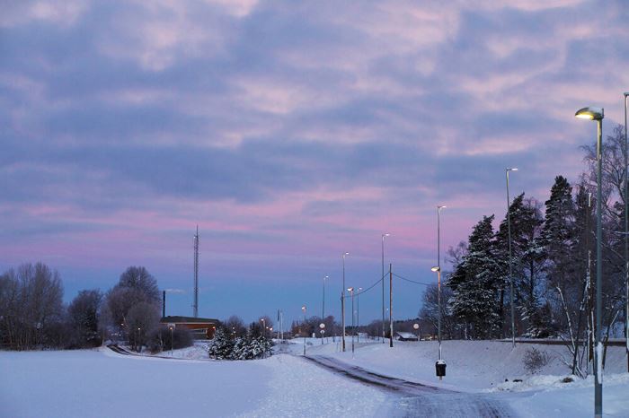 Magisk vintermorgon Trettondagsafton