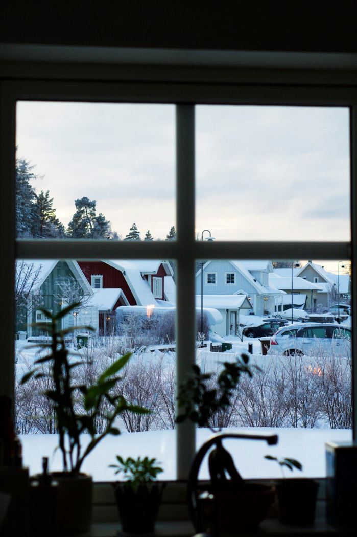 utsikt över vår gata