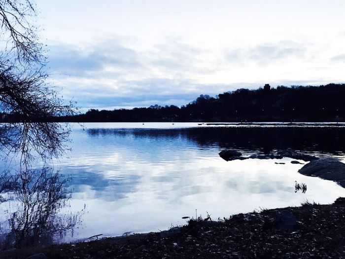 Veckans bästa - löpning på Djurgården