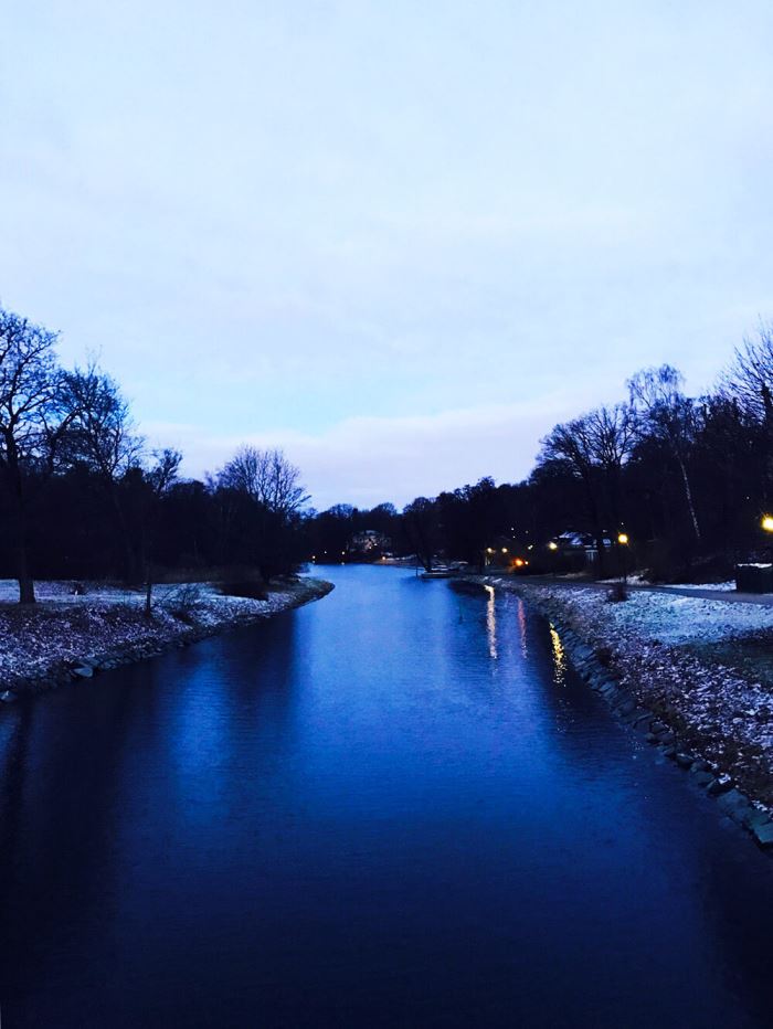 Veckans bästa - löpning på Djurgården