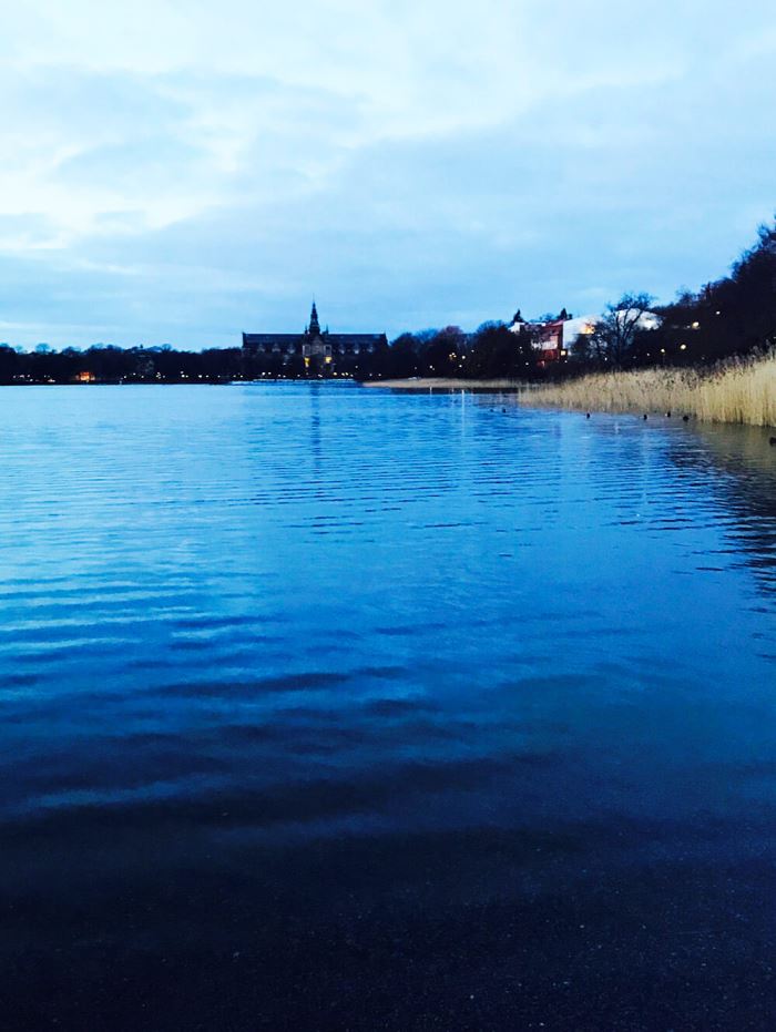 Veckans bästa - löpning på Djurgården