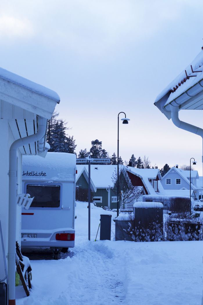 Vinter hemma hos oss