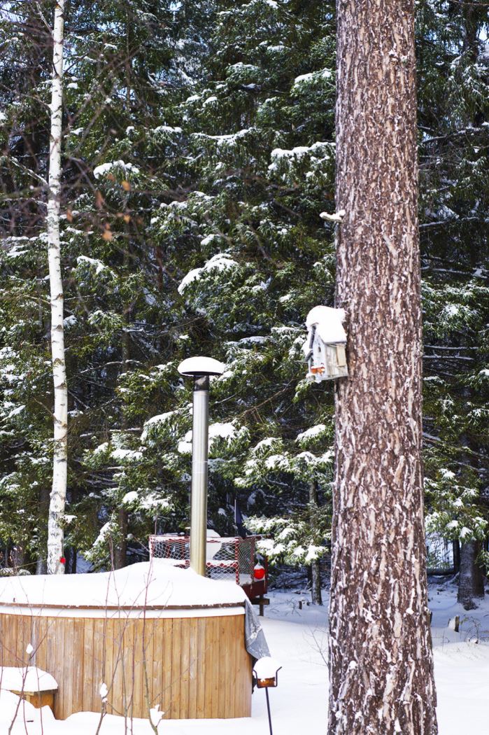 Vinter hemma hos oss