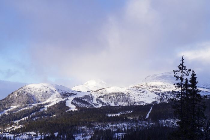 Skidåkning i Åre Björnen