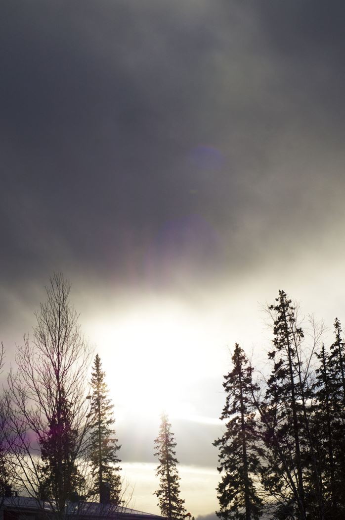 Skidåkning i Åre Björnen