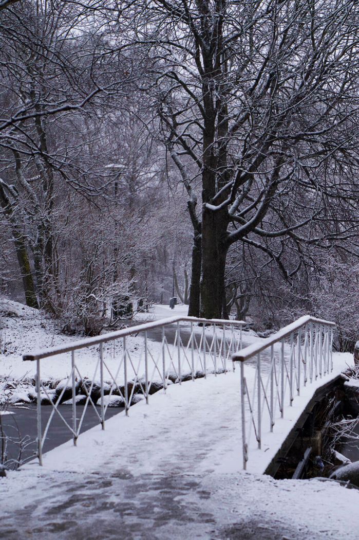 Vinter Norr Mälarstrand