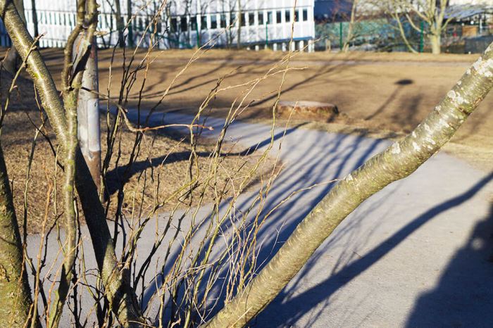 Träning inför Kebnekaise i Observatorielunden