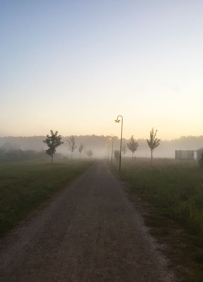 morgonlopning-dimma-3
