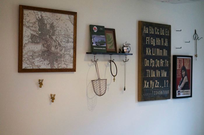 Torkade växter till tavla